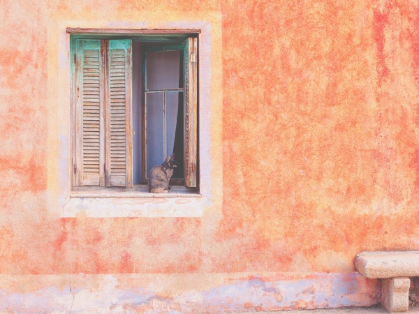 Le restaurant - L'Altore - Ile Rousse - restaurant a faire L'ILE-ROUSSE